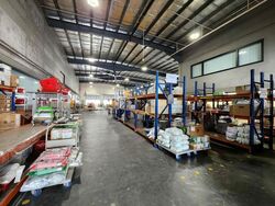 Wave9 (D27), Factory #569590251